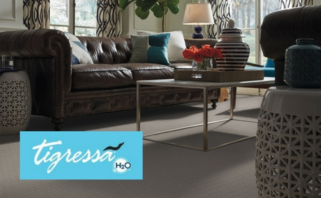 Tigressa Waterproof Carpet in Grey